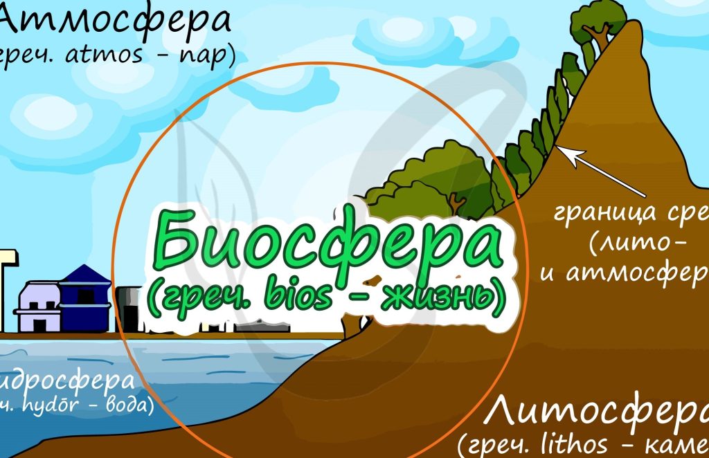 Биосфера 1 d0b1d0b8d0bed181d184d0b5d180d0b0