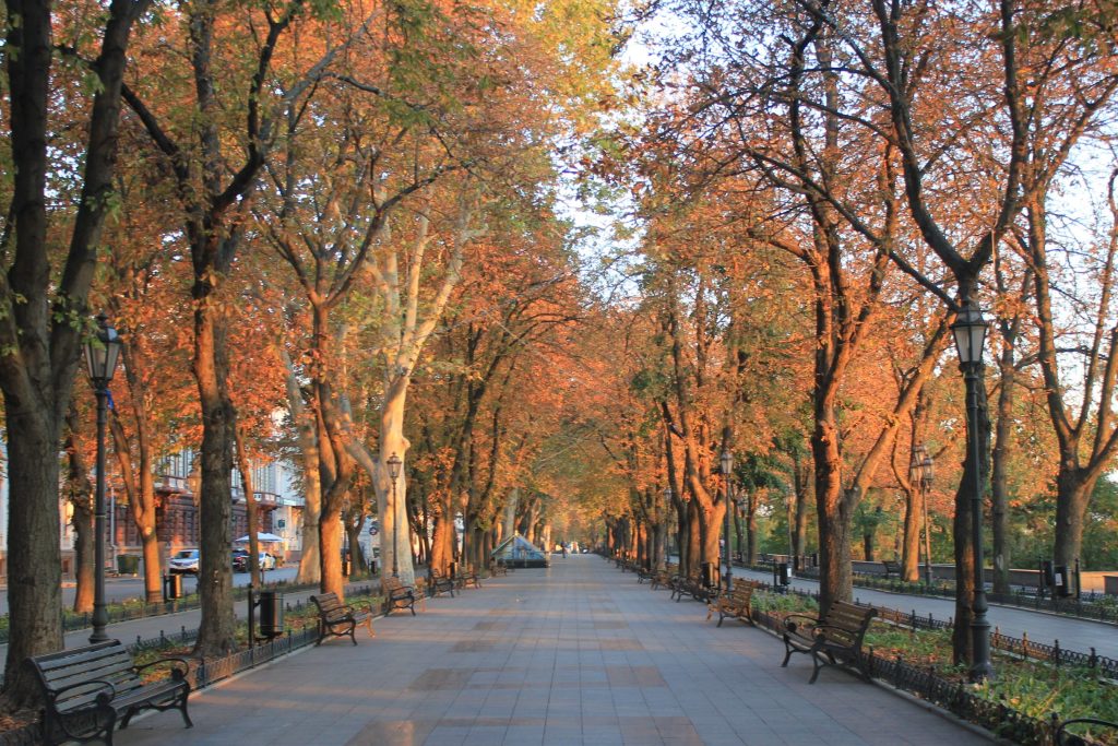 Приморский бульвар 1 d0bfd180d0b8d0bcd0bed180d181d0bad0b8d0b9 d0b1d183d0bbd18cd0b2d0b0d180