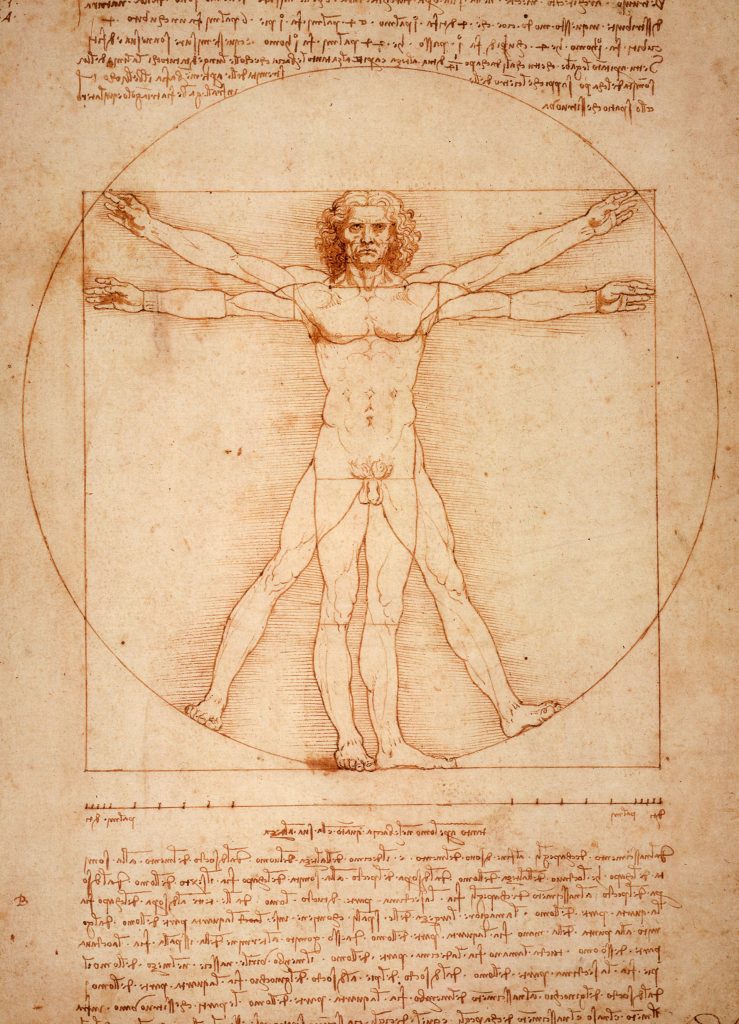 Da Vinci 1 da vinci