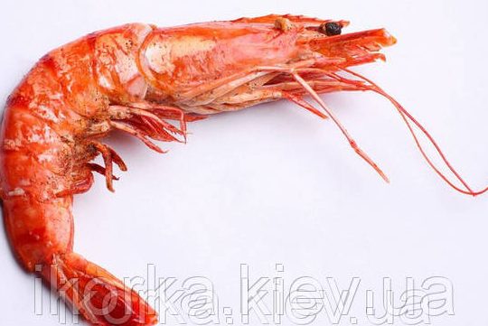 krevetka 1 krevetka
