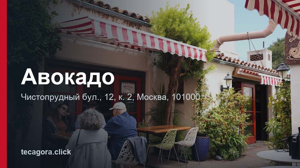 Авокадо 1 tg avokado moskva