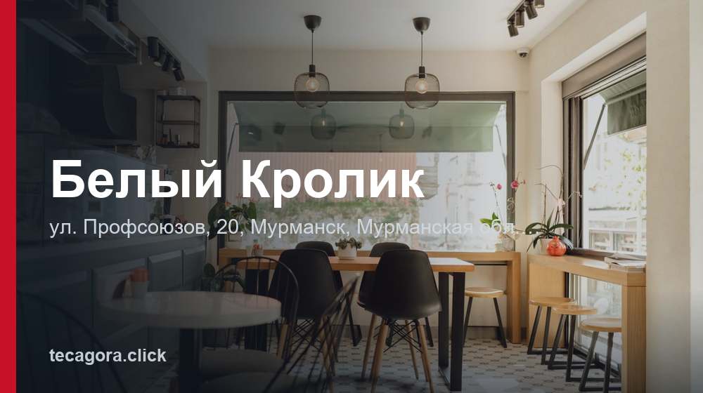 Белый Кролик 1 tg belyy krolik murmansk