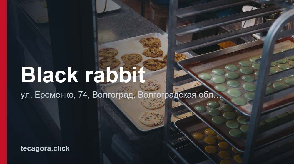 Black rabbit 1 tg black rabbit volgograd