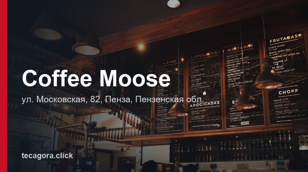 Coffee Moose 1 tg coffee moose penza