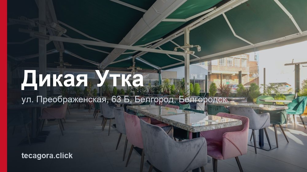Дикая Утка 1 tg dikaya utka belgorod