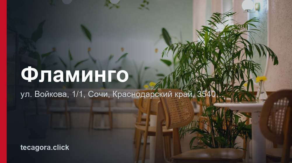 Фламинго 1 tg flamingo sochi