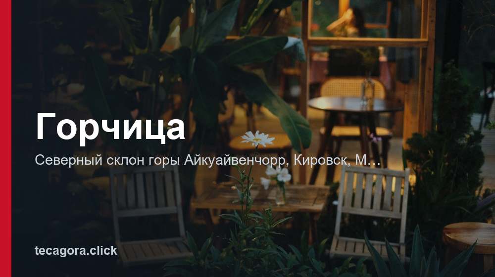 Горчица 1 tg gorchitsa kirovsk