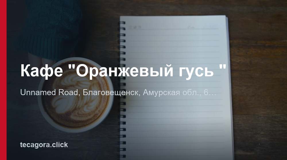 Кафе "Оранжевый гусь " 1 tg kafe oranzhevyy gus blagoveschensk