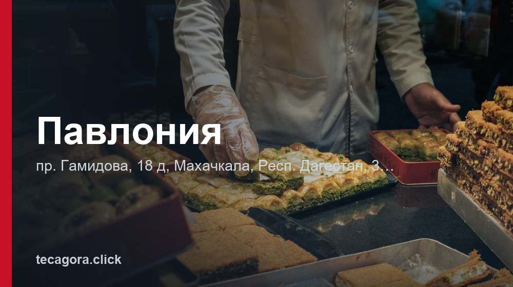 Павлония 1 tg pavloniya mahachkala