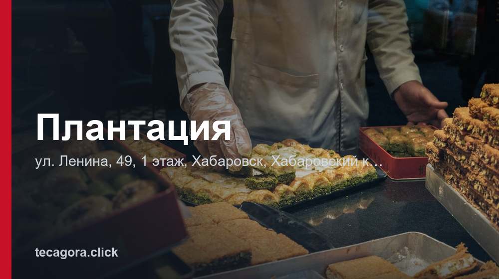 Плантация 1 tg plantatsiya habarovsk