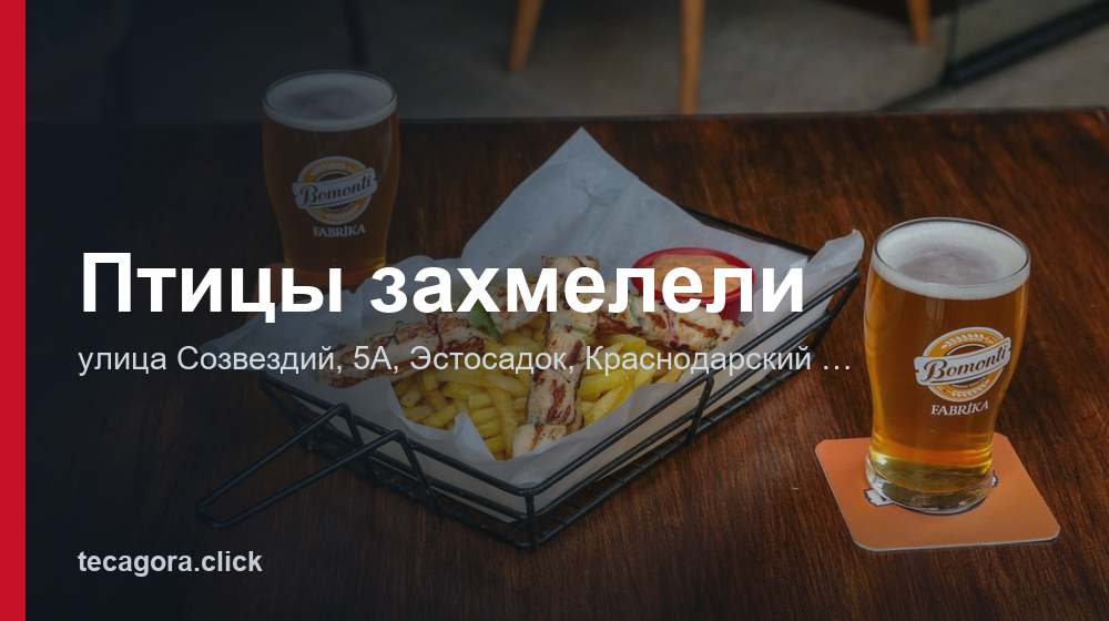 Птицы захмелели 1 tg ptitsy zahmeleli estosadok