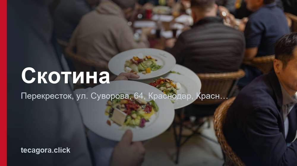 Скотина 1 tg skotina krasnodar
