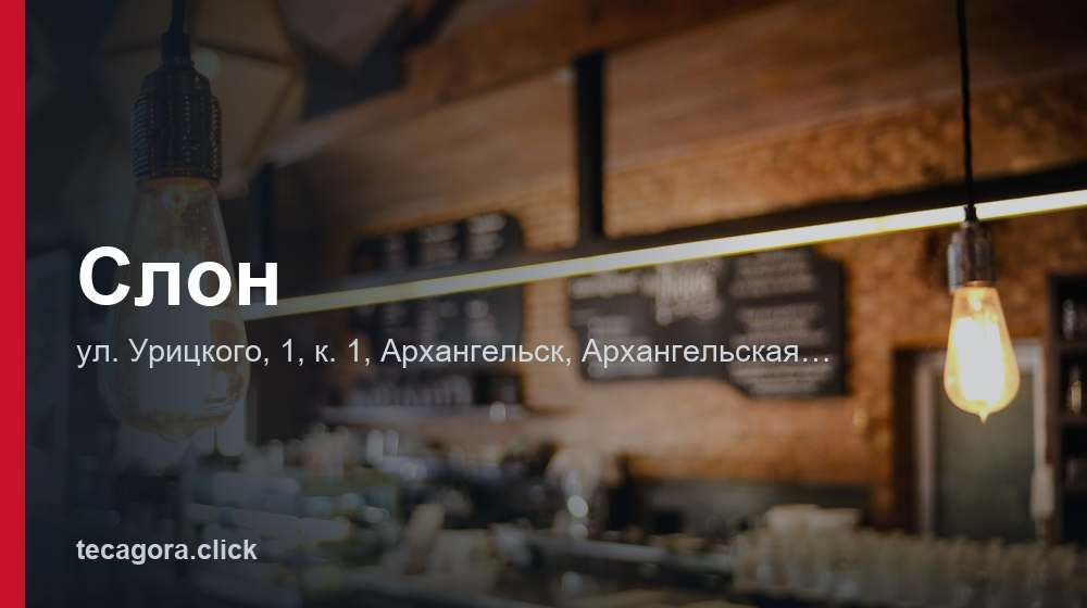 Слон 1 tg slon arhangelsk