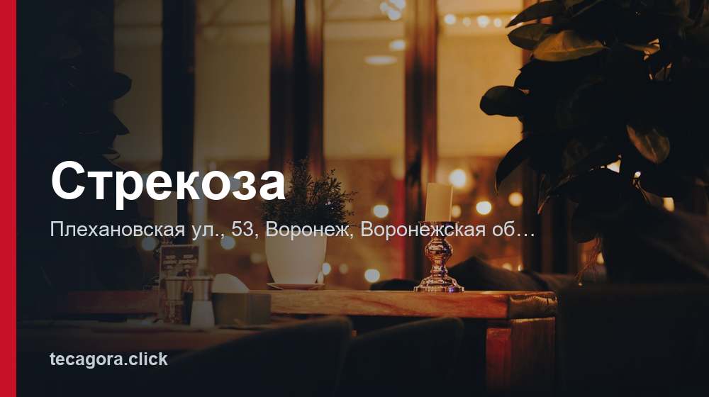Стрекоза 1 tg strekoza voronezh