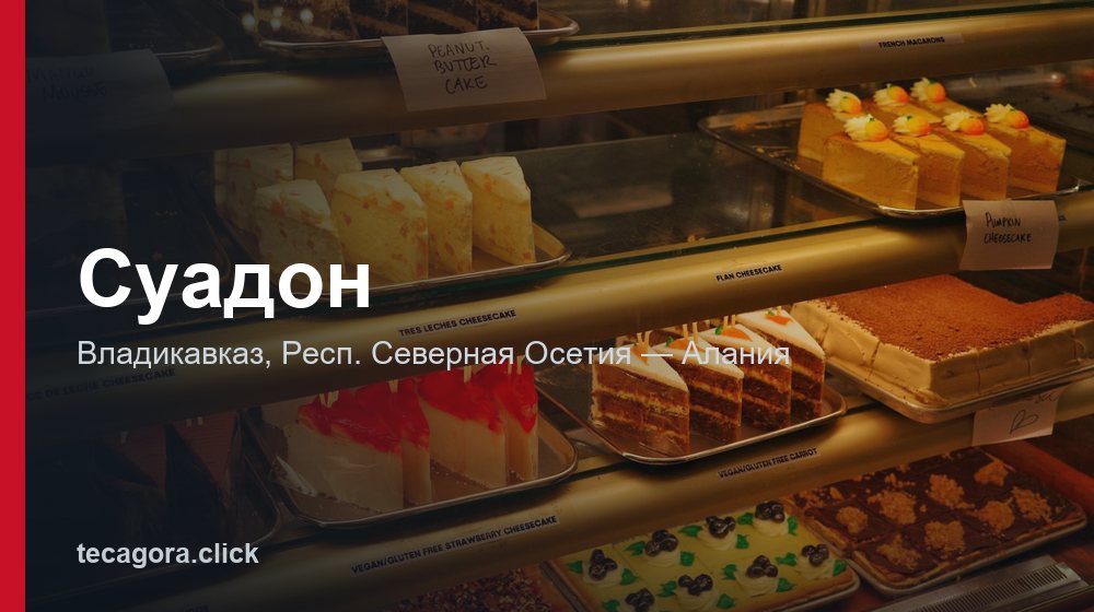 Суадон 1 tg suadon vladikavkaz