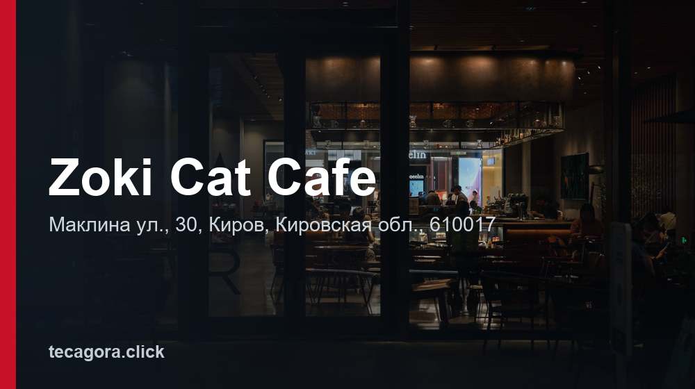 Zoki Cat Cafe 1 tg zoki cat cafe kirov